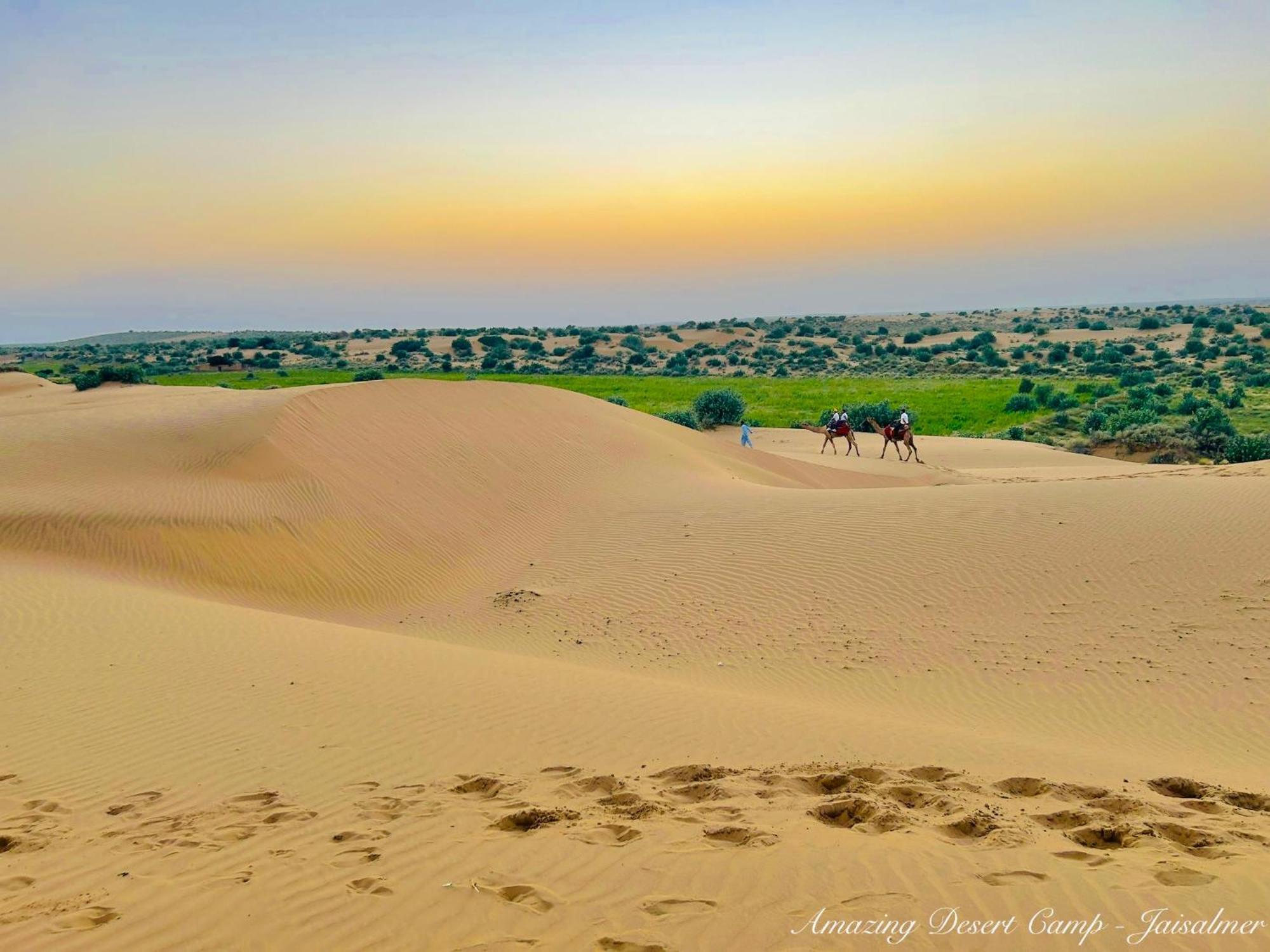 Amazing Desert Camp Джайсалмер Екстериор снимка